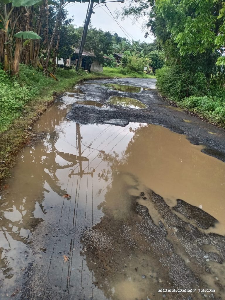 0ae63b86-679f-49f4-980d-49e389bd1eb4