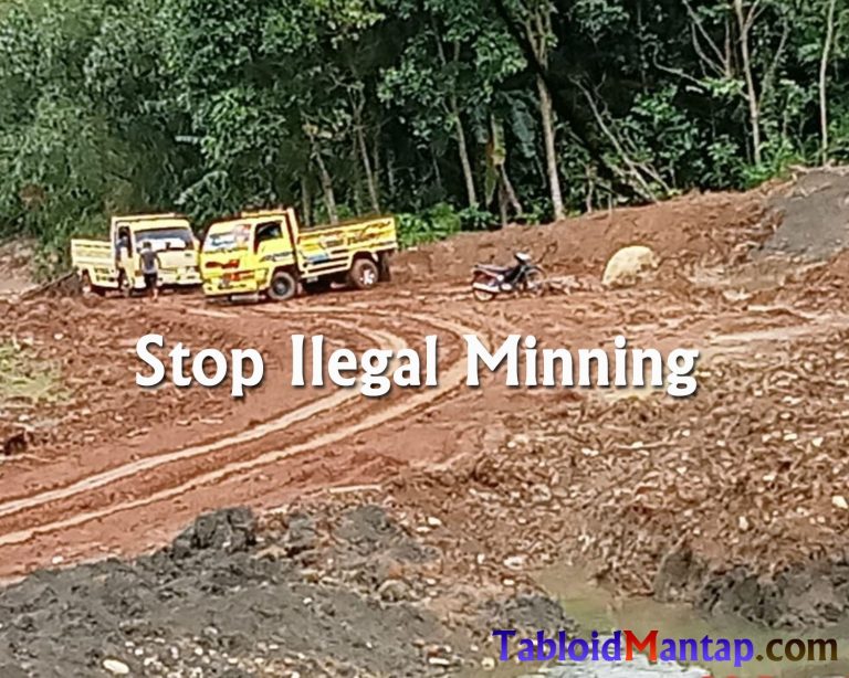 2755fb8f-448a-4f9a-8e05-ef41635e9b09 (1)