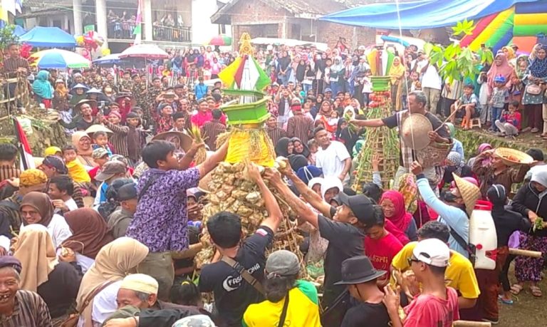 5d6518d3-c764-44b7-8f40-767880585423