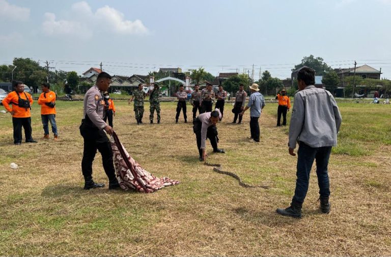 Screenshot_20230317_160202_Drive