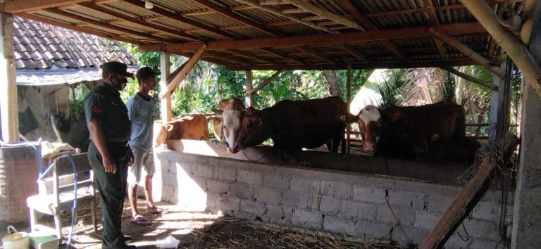 b8102afe-3f34-4381-a2b2-52951c064d83