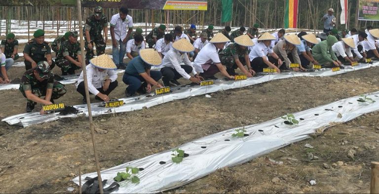 15768613-3e27-4fa3-a1d1-2c1714032821