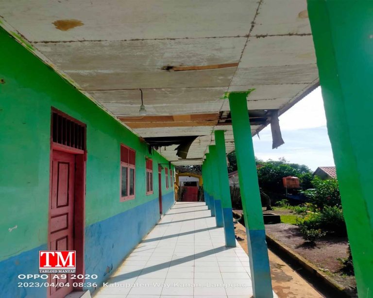 c868391c-9502-45f3-aab0-a6b6c4f7fc38