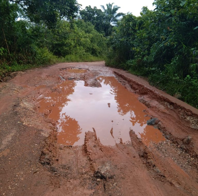 1d5725d9-18c8-4622-8cda-9ca635dfbcfe