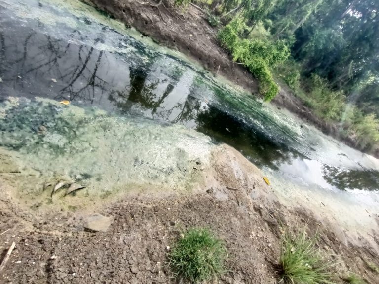 5758e031-16c7-4b94-8dcb-560b3e513a2f