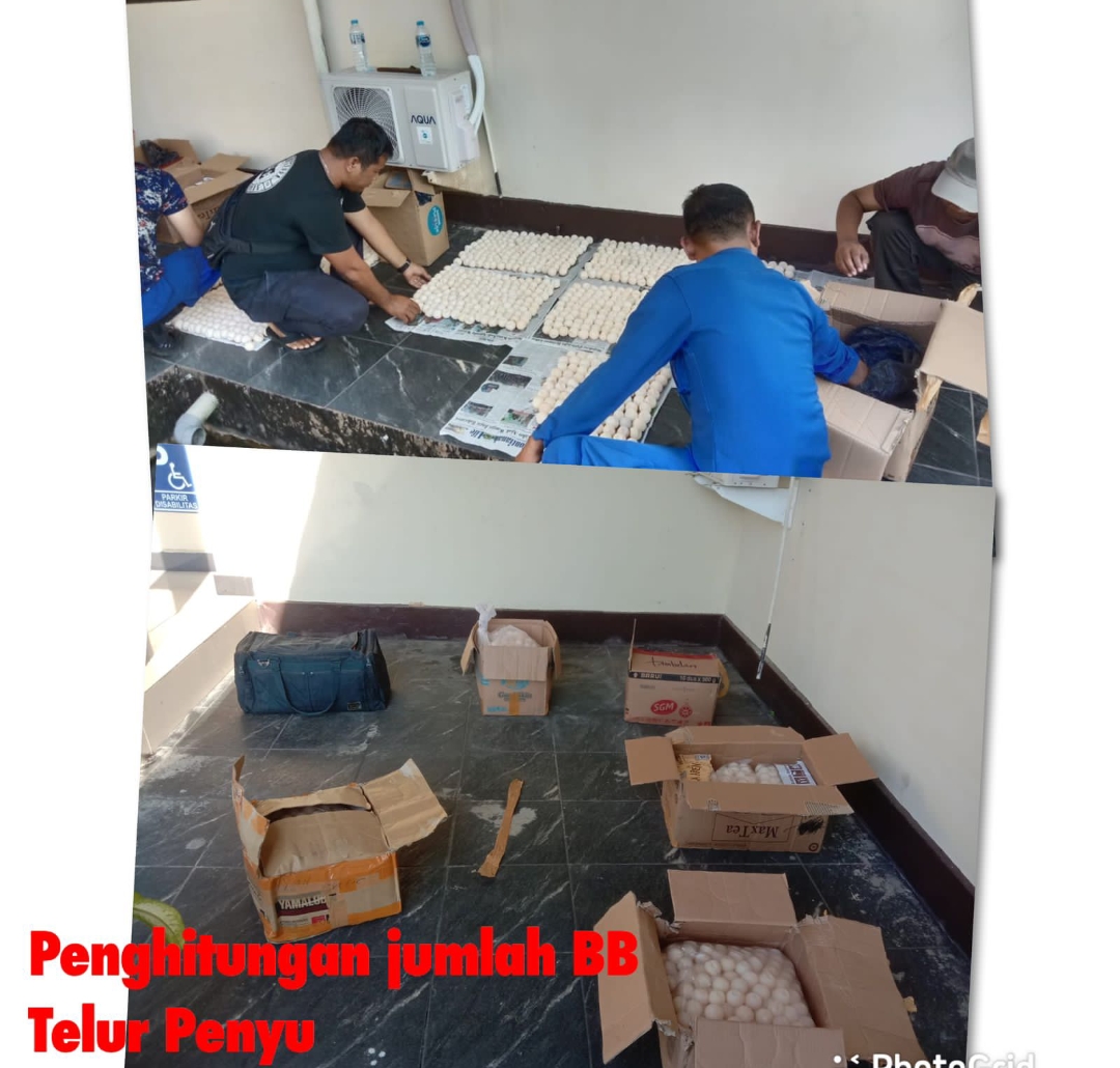 9dd3e027-505a-42df-bb0c-471f853af610