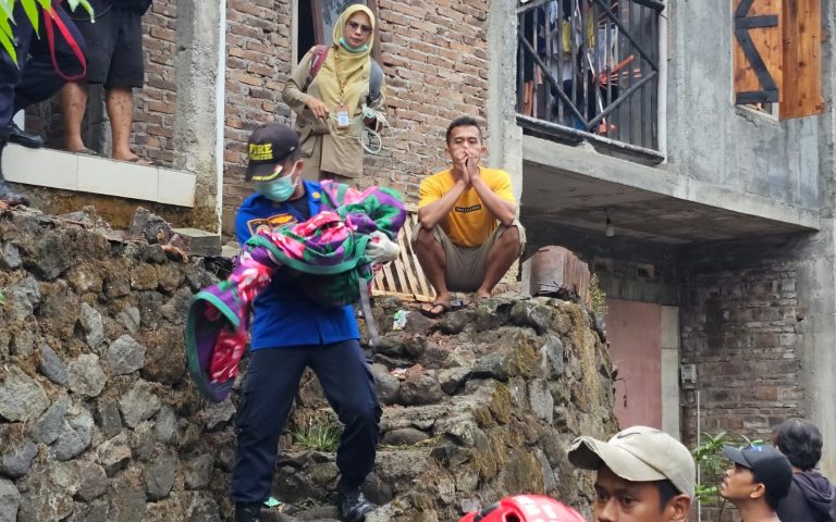 e381cfcb-40d4-4f55-a906-a38038fd4f4a