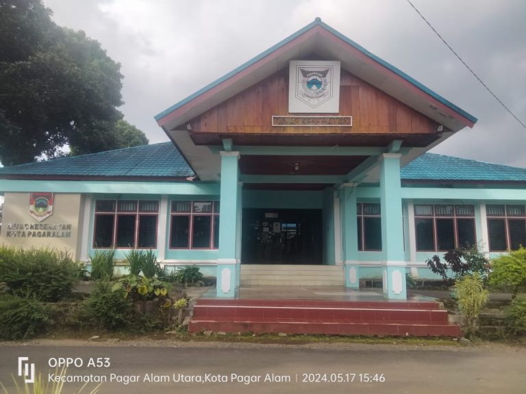 539ca1ce-ea25-420f-a663-e3d5700d4e36