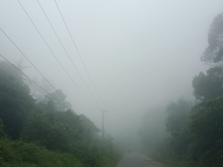 oppo_0