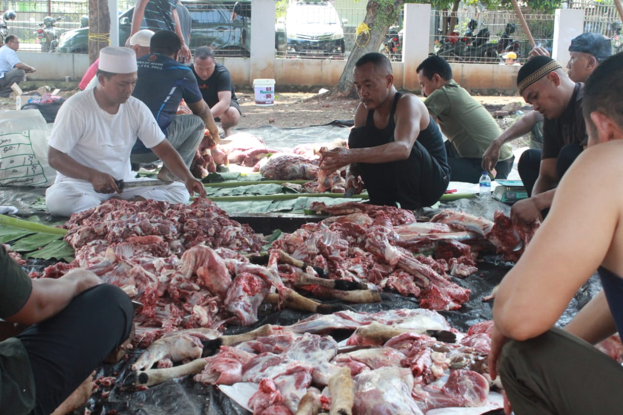 e3cd2ddf-e83a-4c57-b768-1b113b0df055