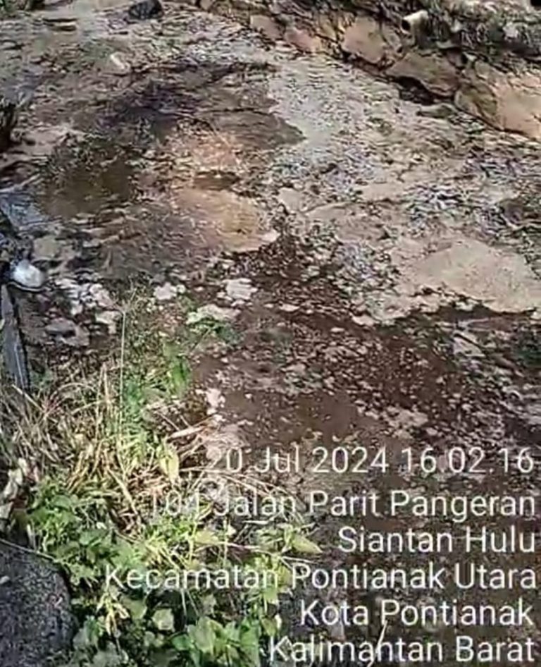 378bb237-6820-46a1-8e74-a96ed5dcd757