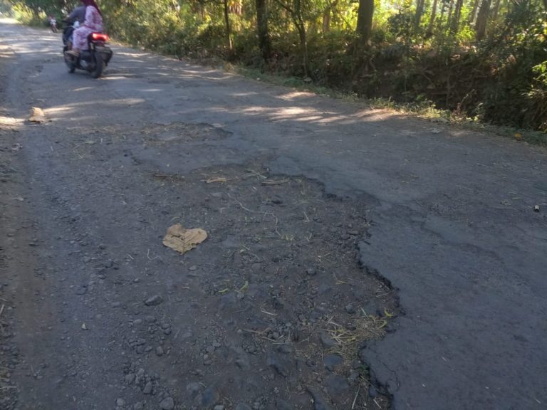 938782c6-b23c-4dcb-b71a-6835c03ae606