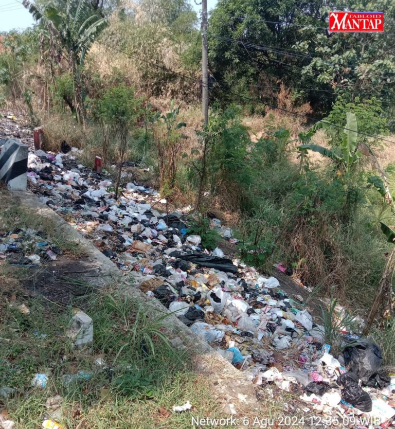 d4f5da46-797f-4501-ae2d-63278b6aaf9e