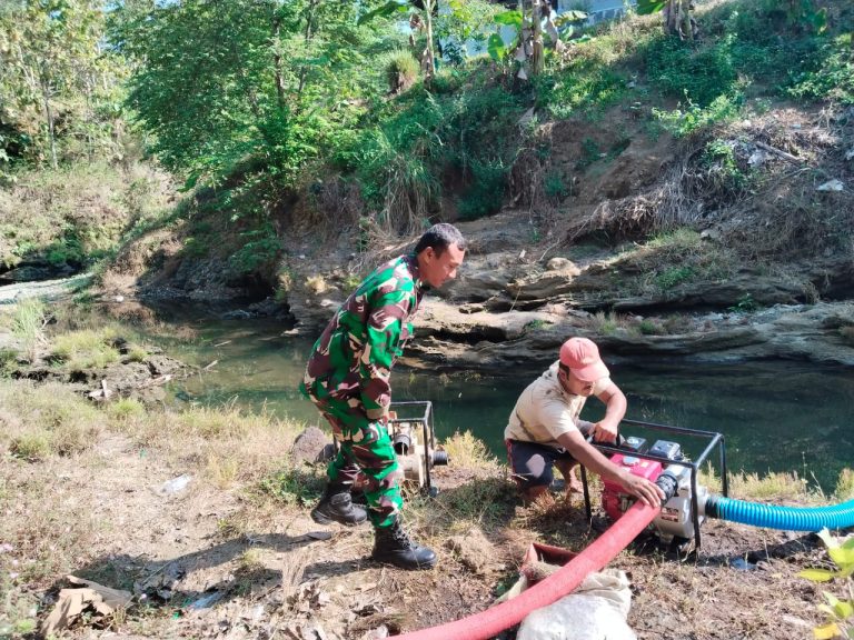 5293f00b-f1ff-41cf-acdb-2fadeea1cdf5