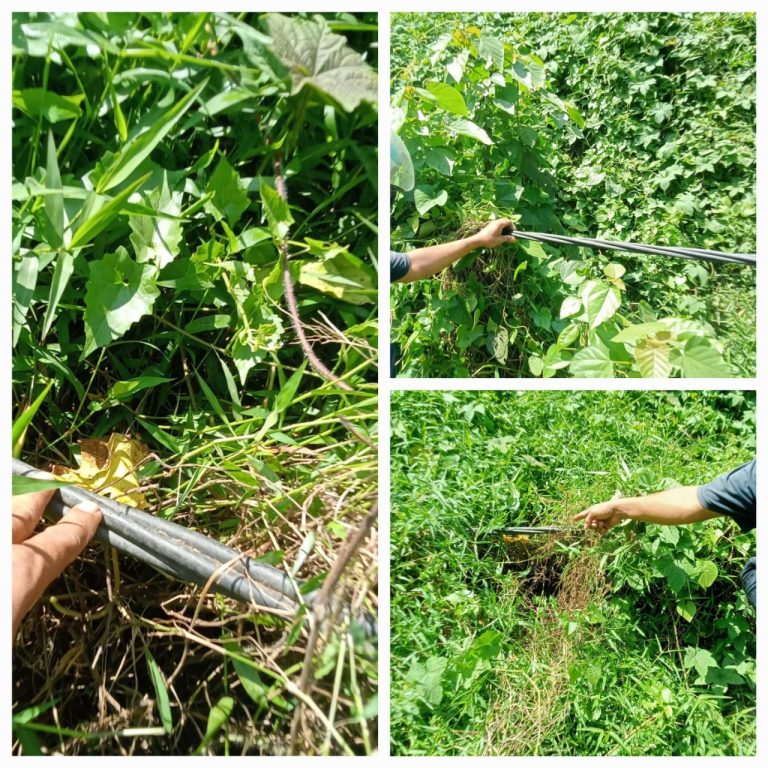 8b876dec-13c4-48fe-803e-aa3fa8083c32