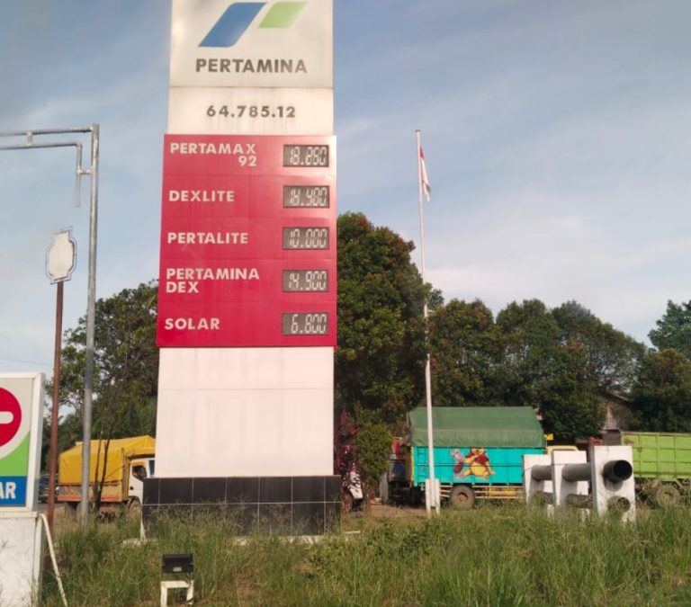 d1b22de5-e4d7-46d8-b6dc-e746952a5ba1