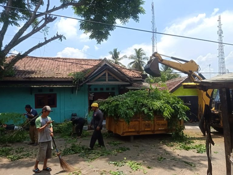 3c260cb4-a89d-4538-962b-39db99b467e8