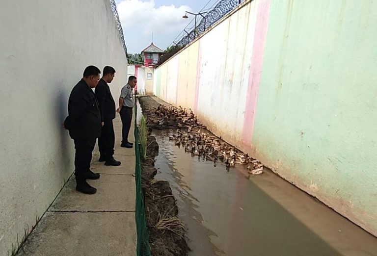 5c03fc35-9ac7-47a9-ae5a-4d751a04c1e9