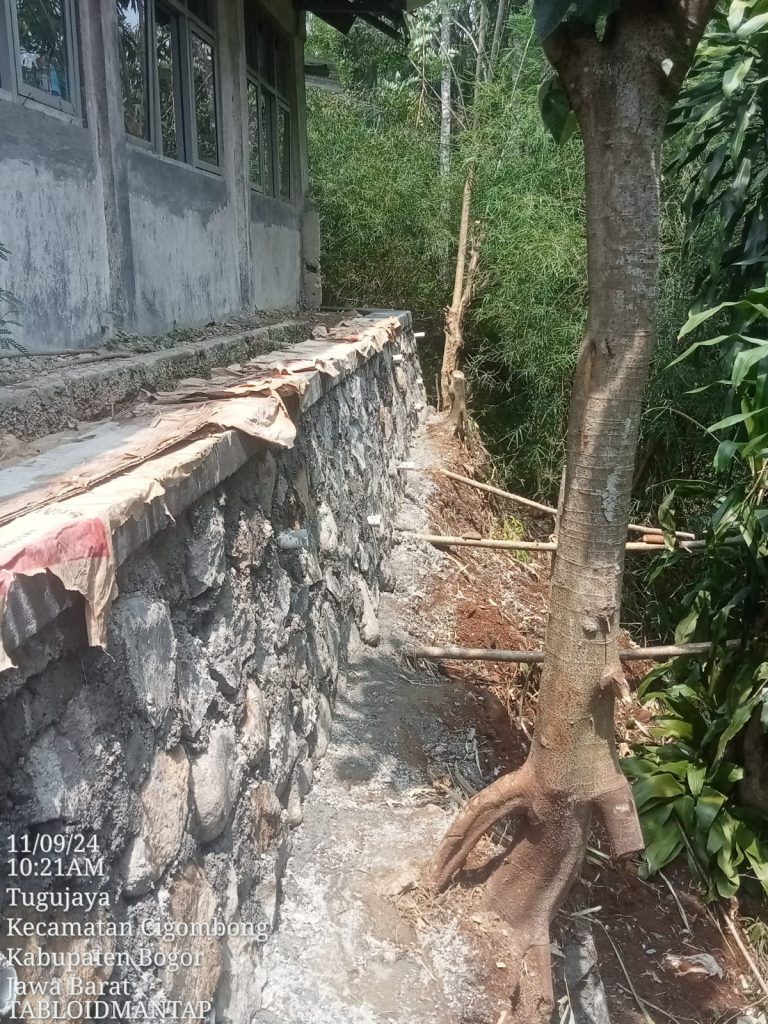 8daf13c0-586c-4e13-bf9a-5cfeef7e84f2