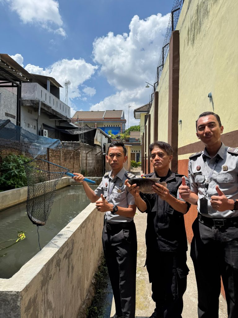 cd78da4f-f52b-4b40-883c-bed6d549a5c3