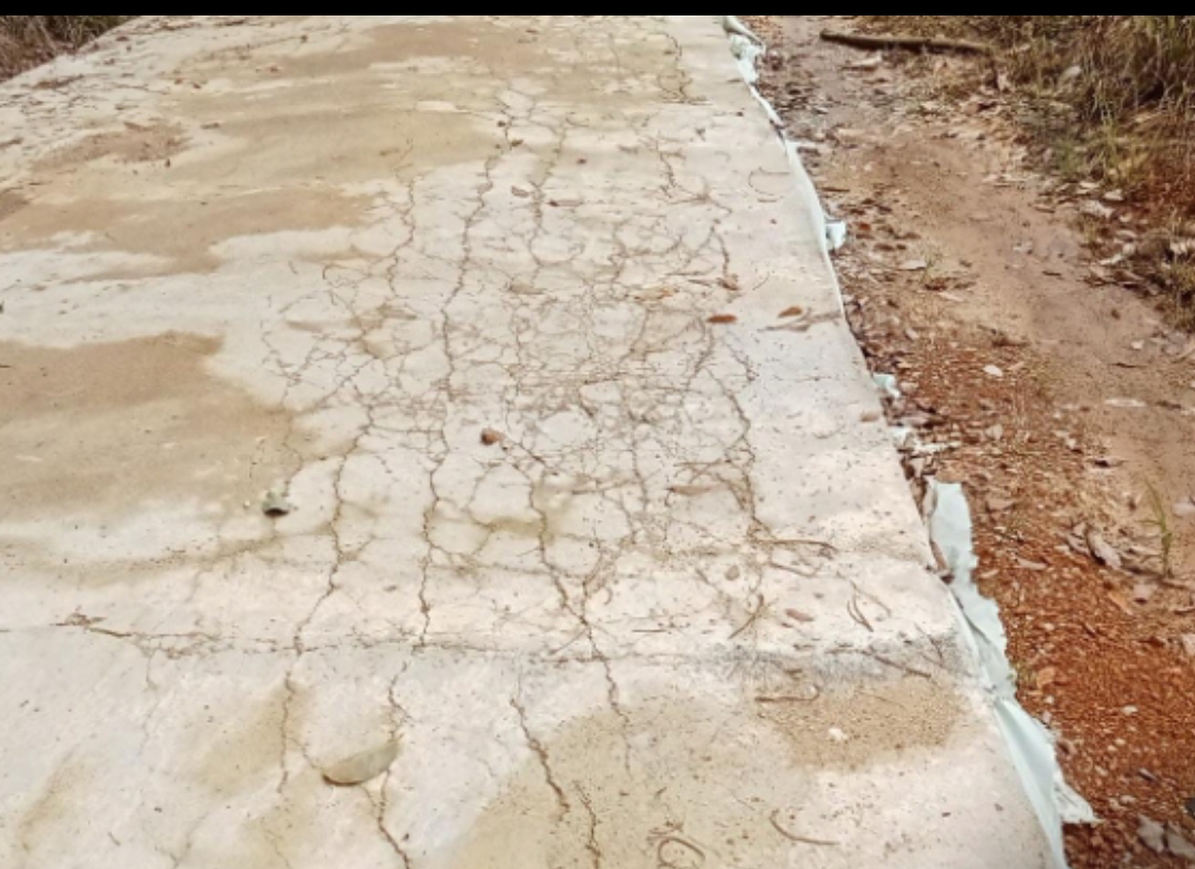 1c94cf15-e801-4140-a7d1-1226ec2cf3c3