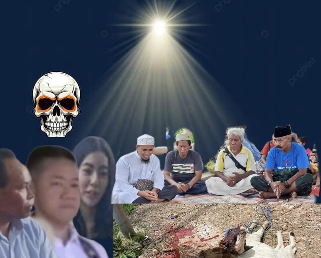 56cbd313-f22a-4d8d-ba1a-910b7e8adc31