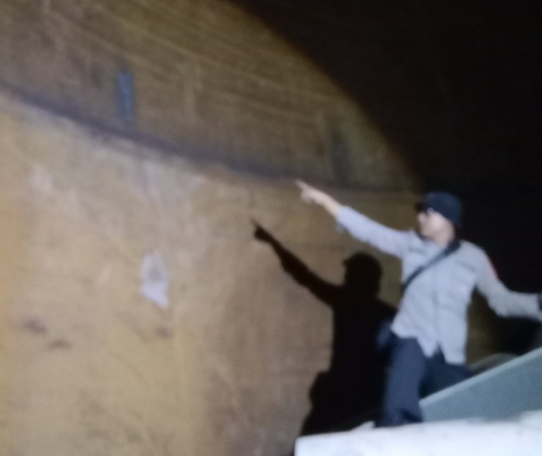 e55c602d-31c0-438e-9773-860e5e9fb32d