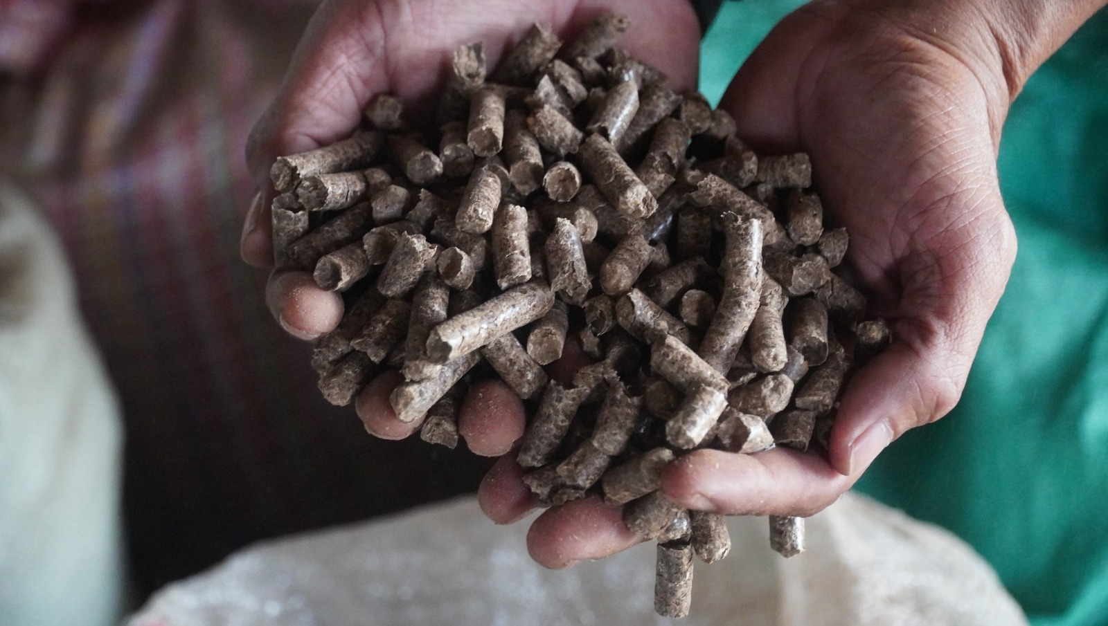 9ee12e15-9e89-4dd2-b050-b1ce97955ecd