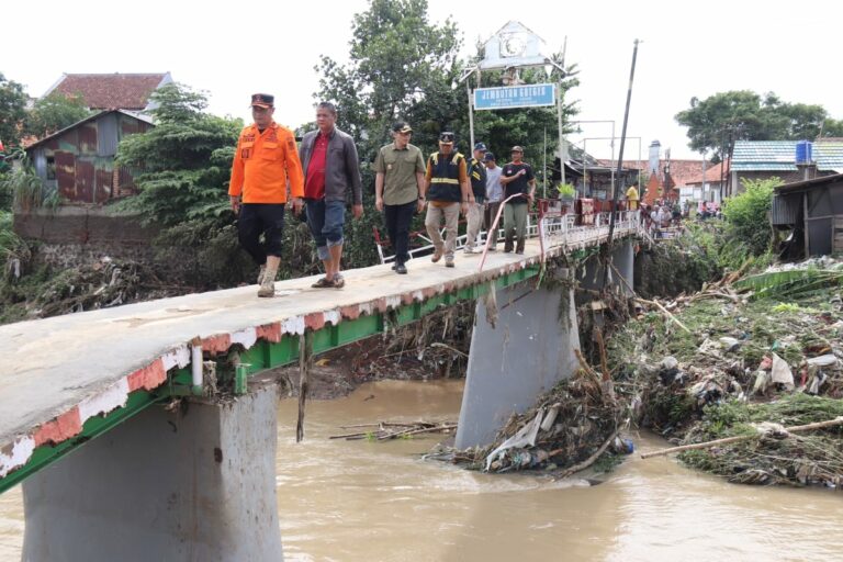 IMG-20250118-WA0052-768x512