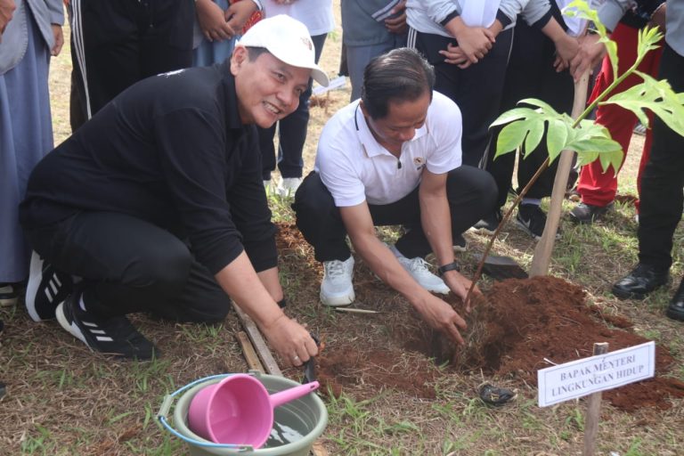 file-1739445409654-IMG-20250213-WA0011