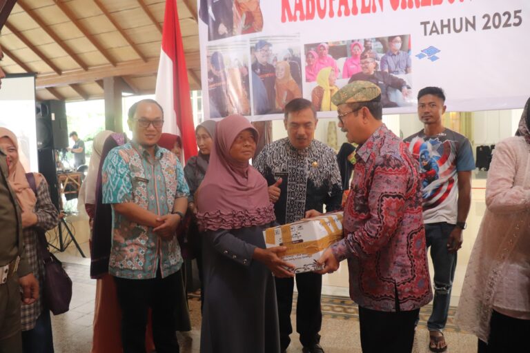 IMG-20250412-WA0015-768x512-1