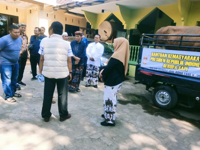 IMG-20250605-WA0029(1)