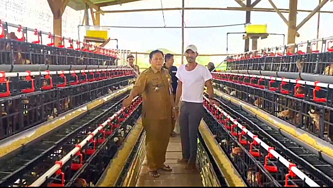 Screenshot_20250610-154908_1