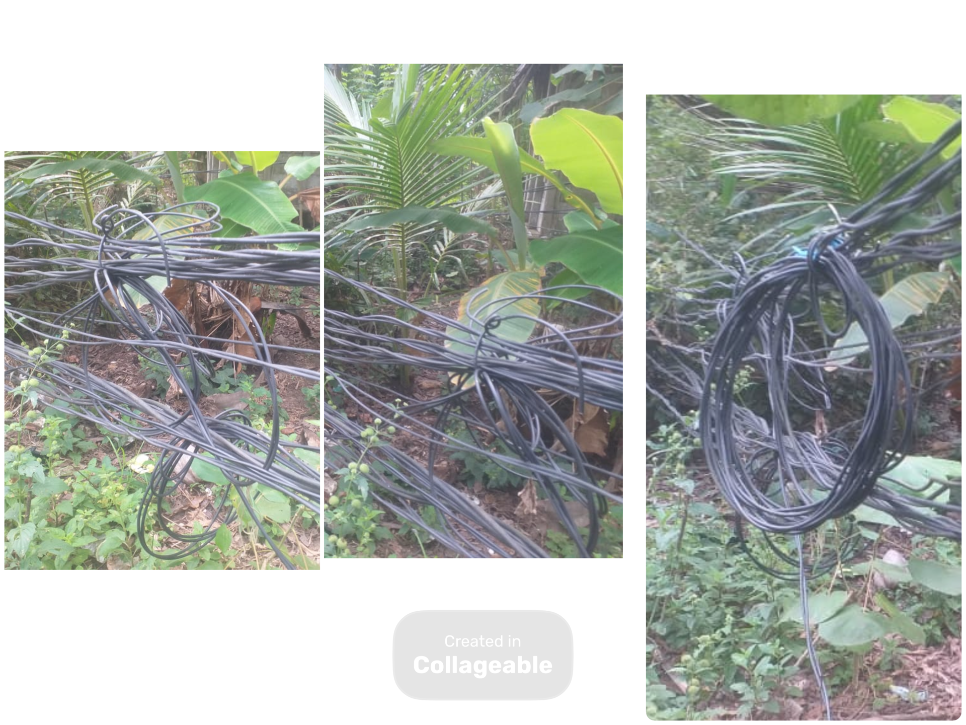 ED2E527F-A40D-4536-863E-56B7D7958CCC