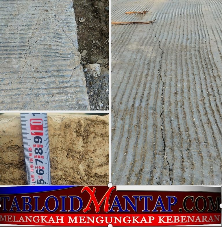 Screenshot_20250721_201155_Picsart