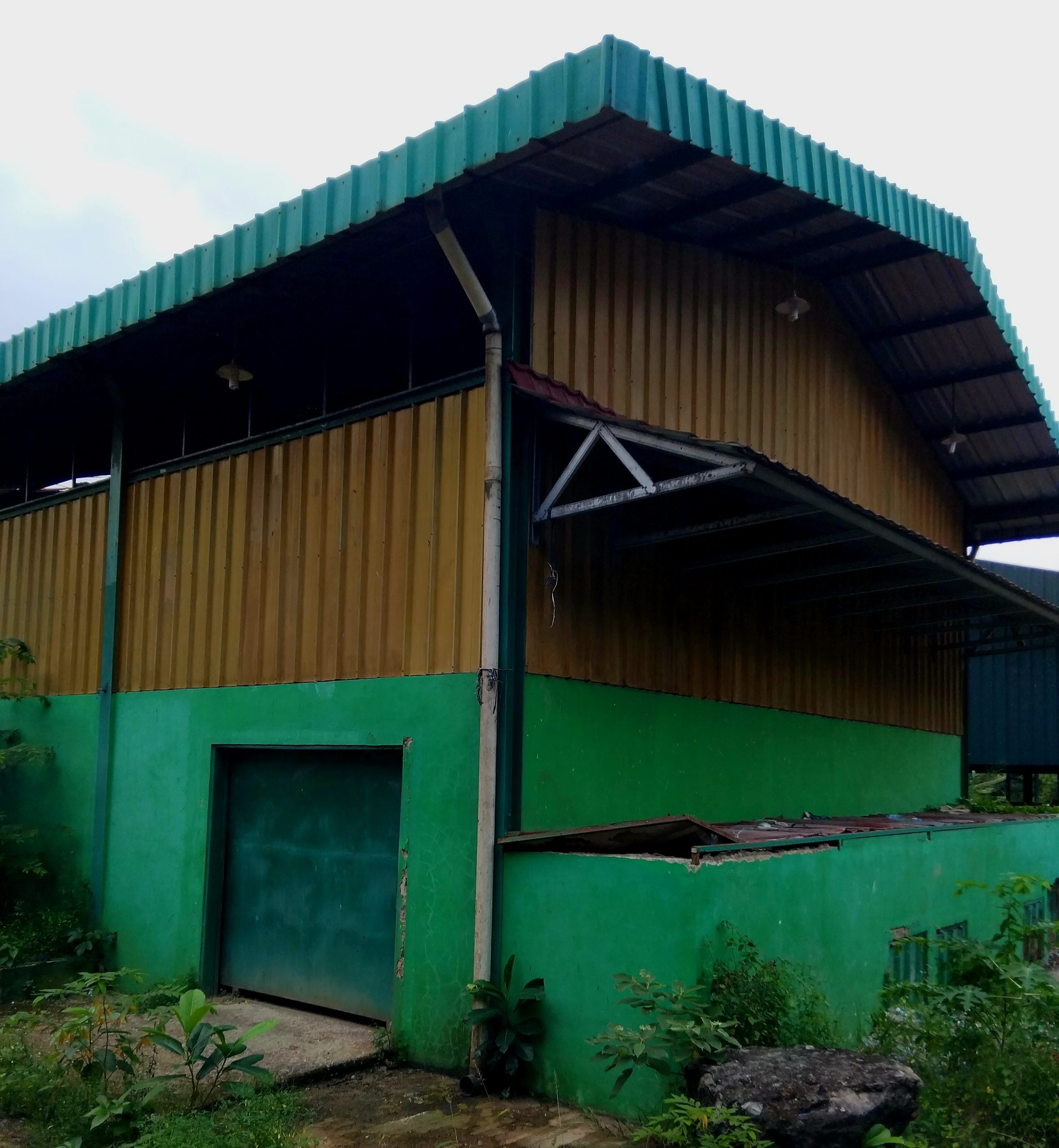 TimePhoto_20250715_141504