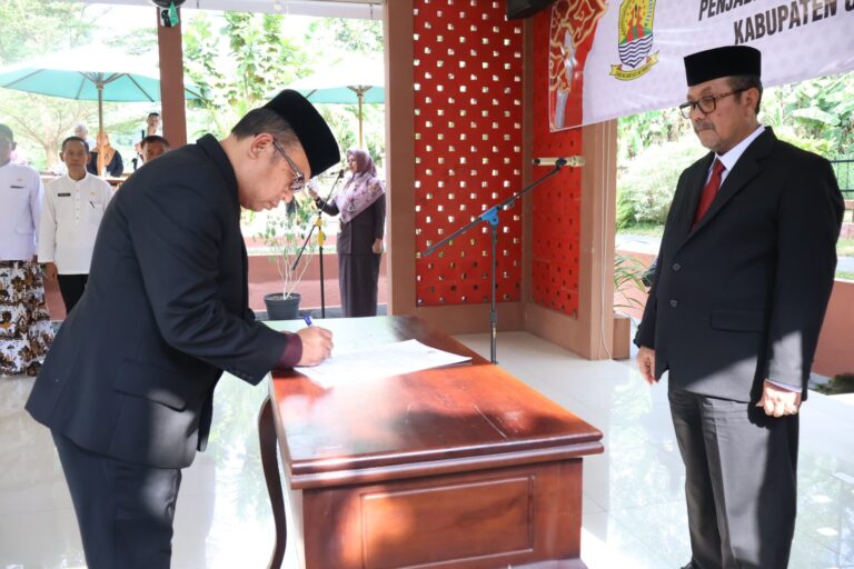 IMG-20250808-WA0033-768x512