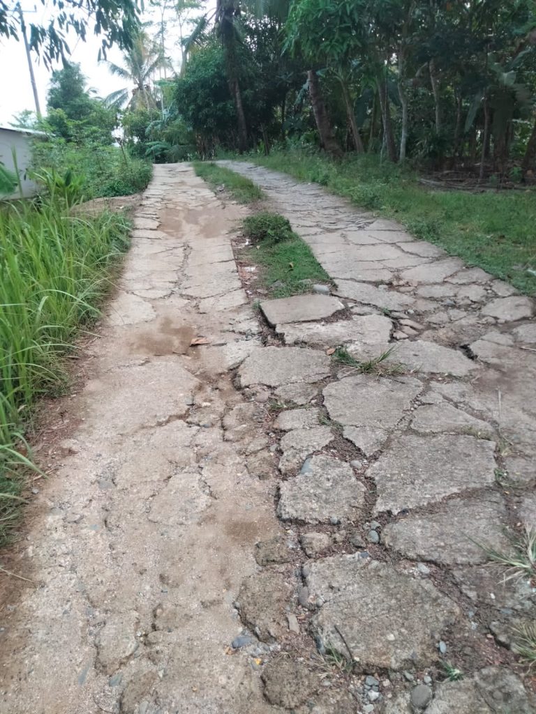 a9596121-34fc-4d8f-948a-a21732dfb0a1