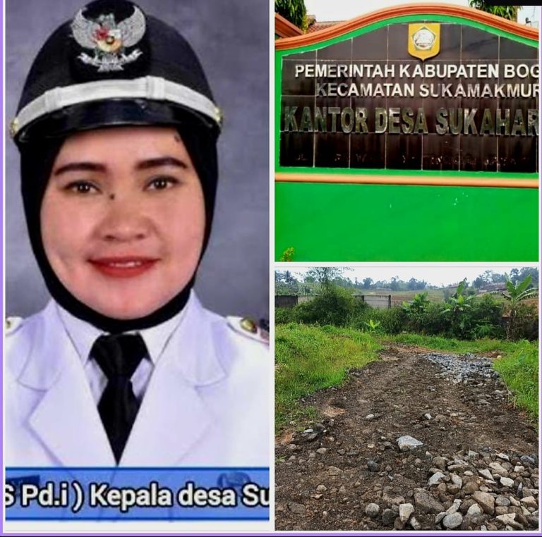 342fb5ad-cebe-45ed-ba43-d2f3ec2ed5f3