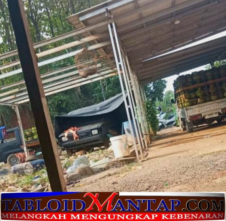 57535be8-6e28-468d-a1e5-6993b18c4ad2