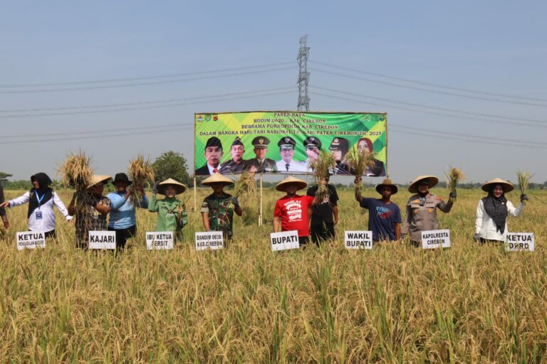 IMG-20250926-WA0027-768x512