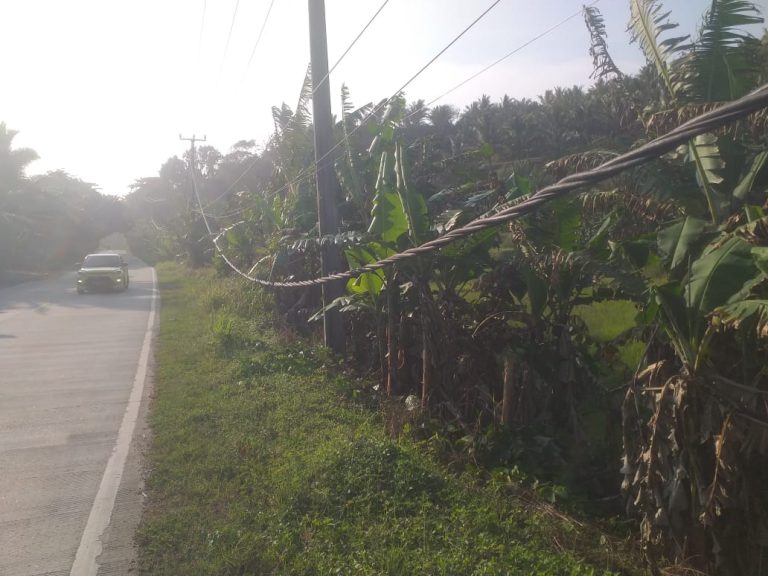 ae0ea190-a73b-482a-8dab-2903a1ece7c7