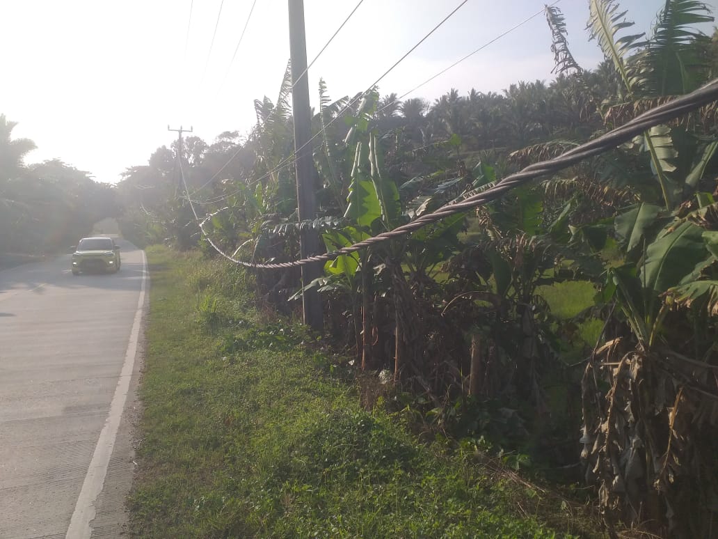 ae0ea190-a73b-482a-8dab-2903a1ece7c7