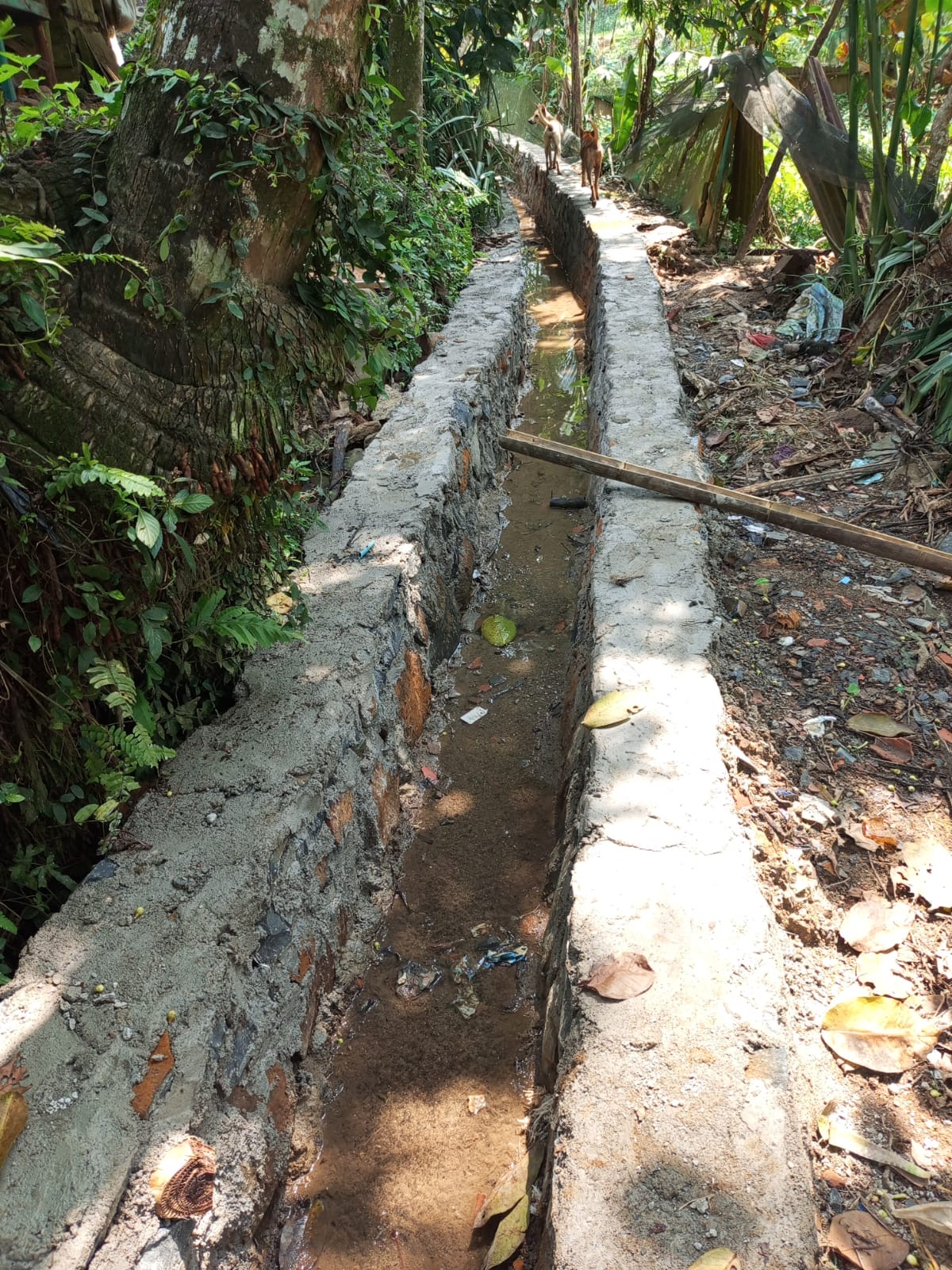 c4cfc1b4-eb89-463a-969c-8e72df85c50a