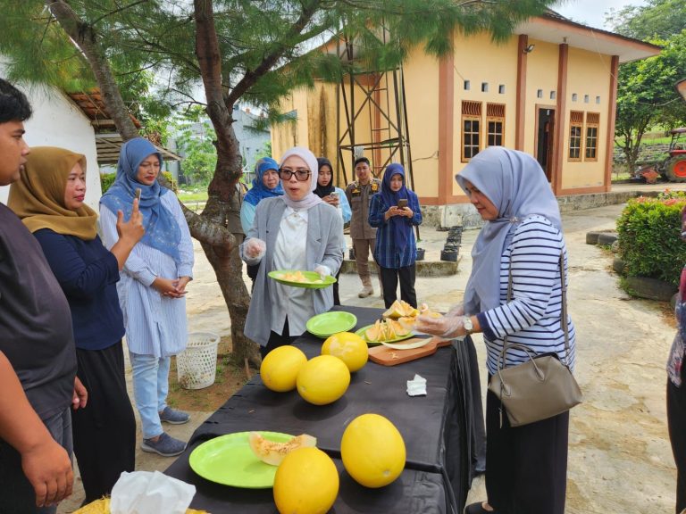 d9c070a7-e66f-4754-9206-9c623f5eb08a