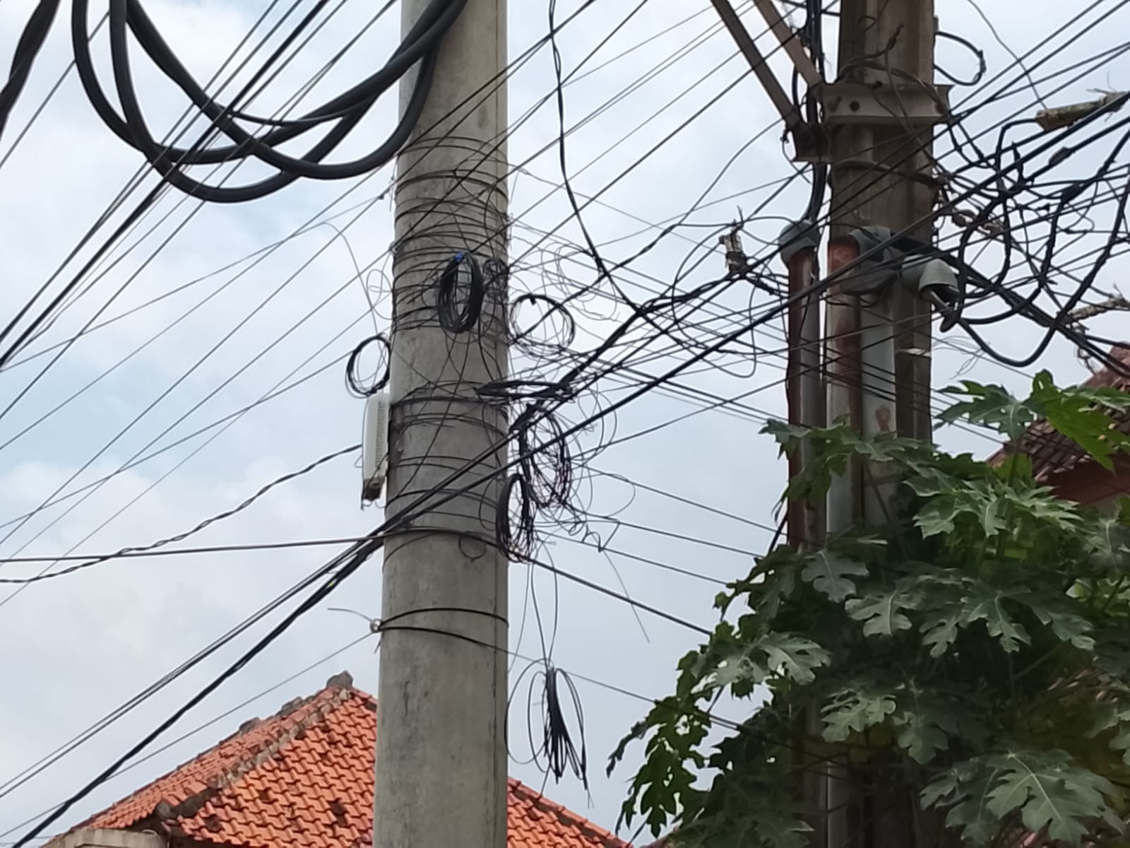 633f5c0d-8923-4ea0-8af8-b270522a1306