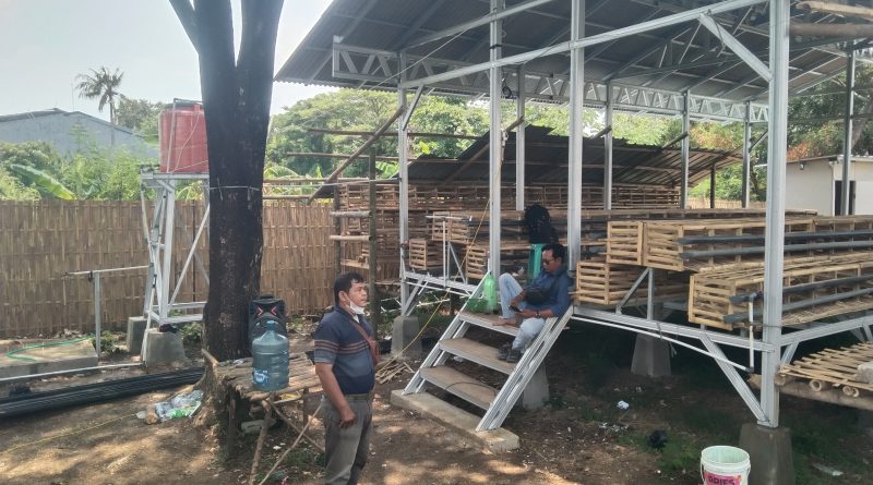 IMG_20250930_114110-800x445