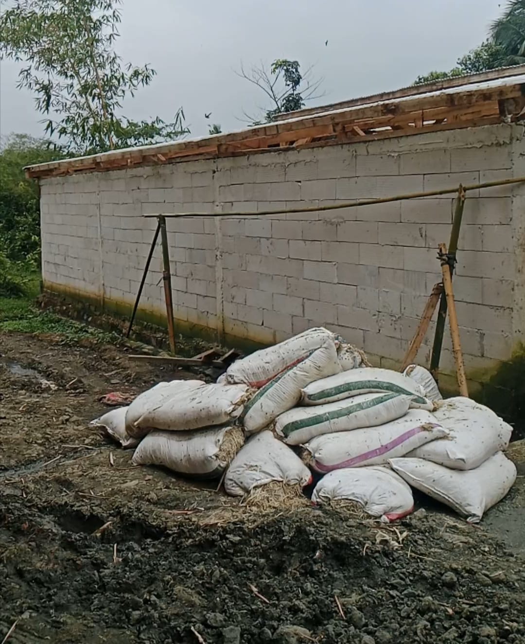 64d22933-9037-4bbe-a6ee-1c0ac896063d