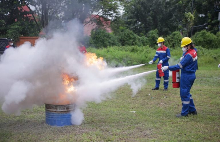 IMG-20260123-WA0028-1024x661