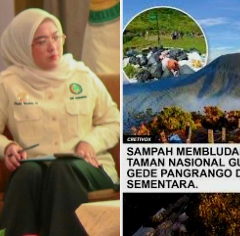 WhatsApp Image 2026-02-01 at 05.51.28